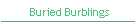 Buried Burblings